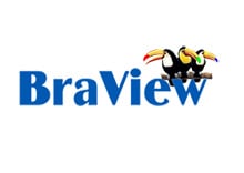 braview logo