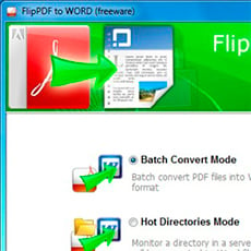 Flip PDF to Word logo baixesoft 1