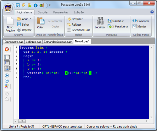 Pascal ZIM captura de tela 5