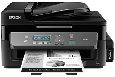 Epson WorkForce M205