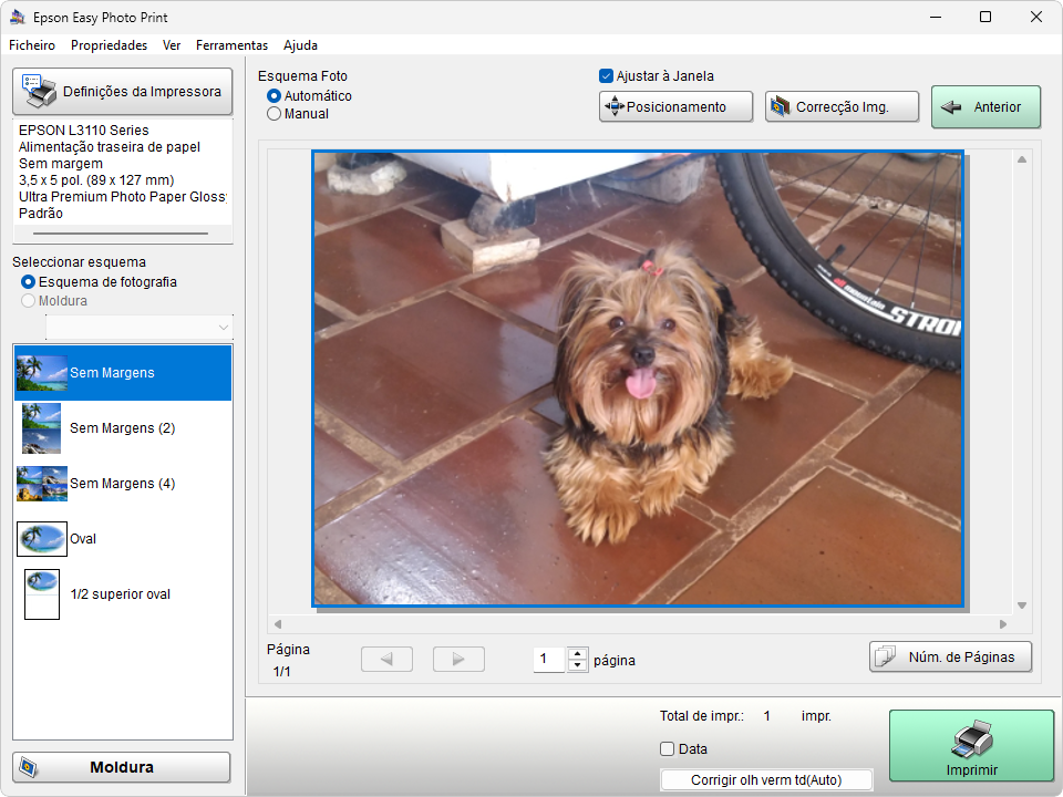 Epson Easy Photo Print