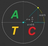 advanced-trigonometry-calculator-icon