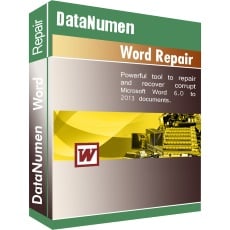 logo box do DataNumen Word Repair