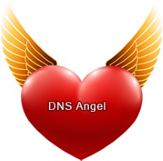 dns angel logo