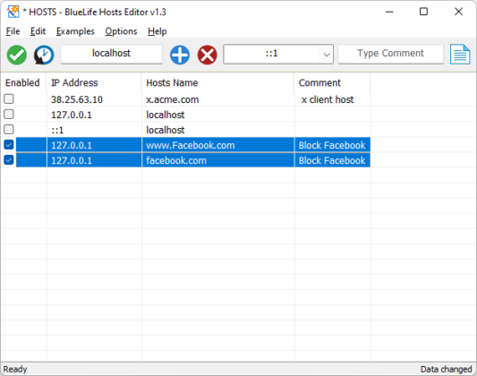 BlueLife Hosts Editor captura de tela 3 baixesoft