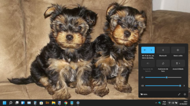 Captura de tela demonstrativa padrão do Windows 11. O fundo da área de trabalho está customizado, está configurado com 2 filhotes de yorkshire, que são as cachorrinhas de Rafael Lorenzoni. A área de trabalho mostra também o painel de controle rápido do sistema com as opções de Wi-Fi, Bluetooth, volume, brilho da tela, entre outras.