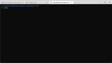 Captura de tela demonstrativa do Windows Terminal mostrando uma aba de exemplo do kali-linux aberta. Também há outras abas abertas.