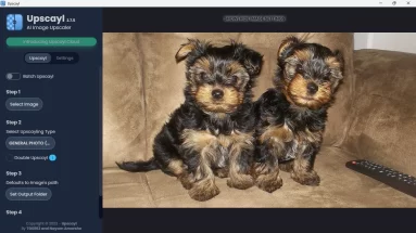 Captura de tela inicial do Upscayl. O programa está carregado com a imagem de 2 filhotes de yorkshire.