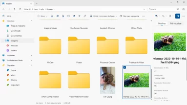 Captura de tela do Files demonstrativa mostrando um exemplo de pasta com algumas pastas e fotos pessoas. As fotos são de cachorros felizes.